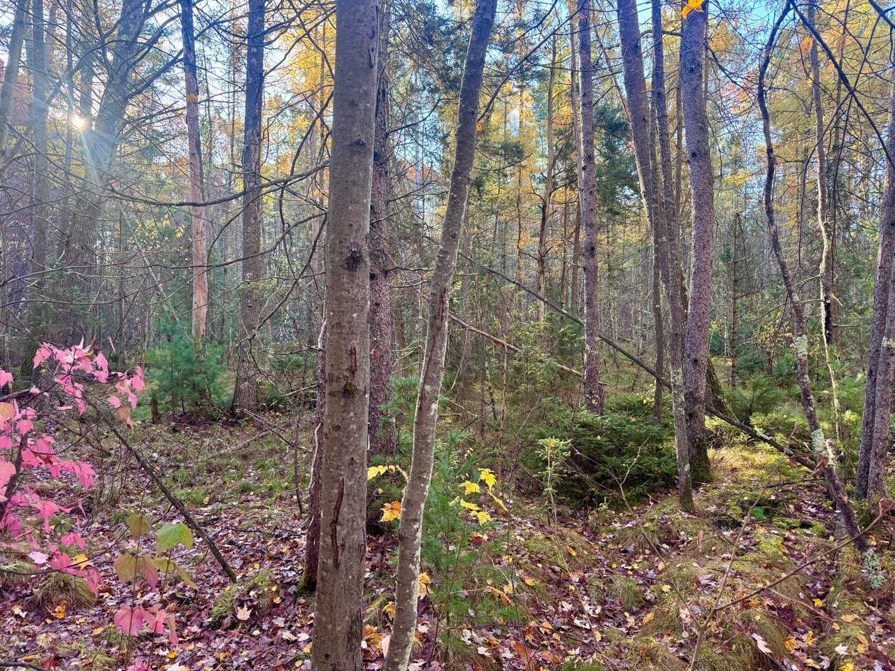 11469 Dale Ct - Photo 1