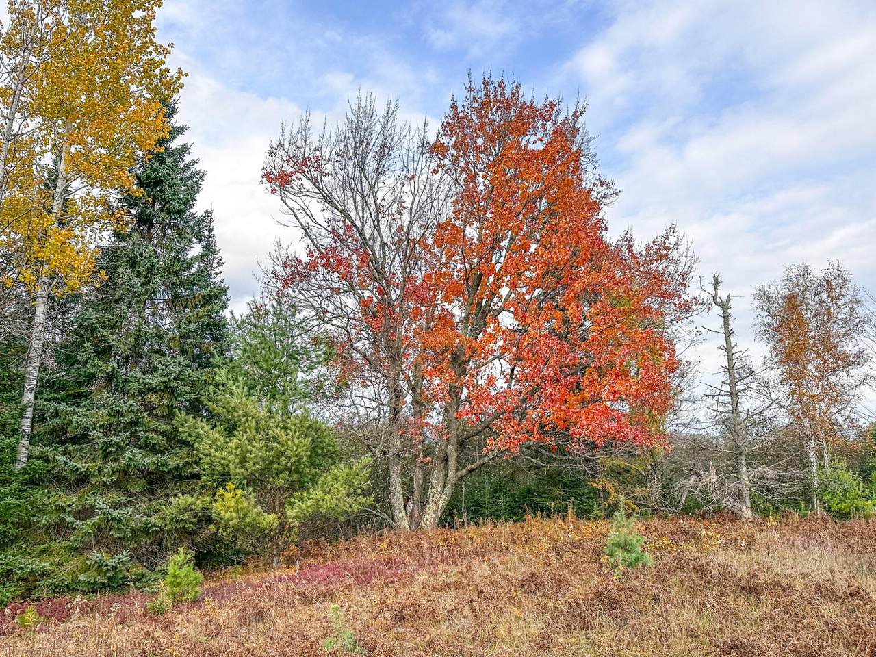 1.36a Darlaks Bay Ln - Photo 1