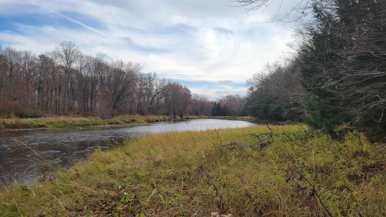 Lot #13 Sunny Side Rd - Photo 1