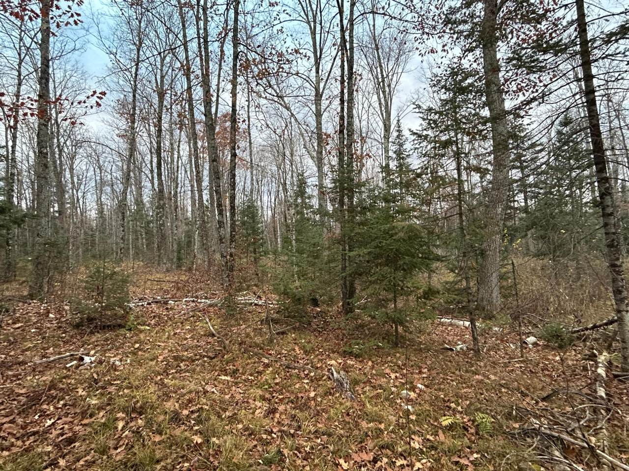 18 Acres Cth G - Photo 1