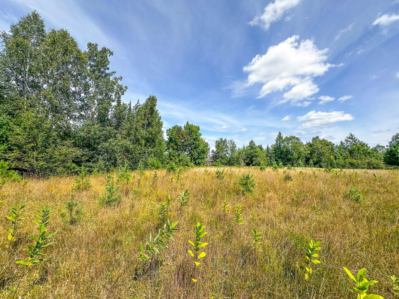 1.62A Darlaks Bay Ln - Photo 1