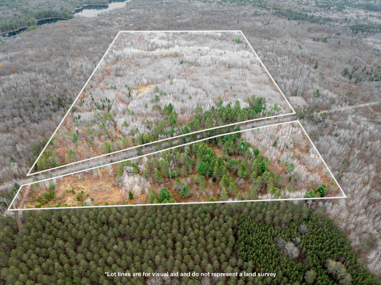 ON Sheep Ranch Rd - Photo 1