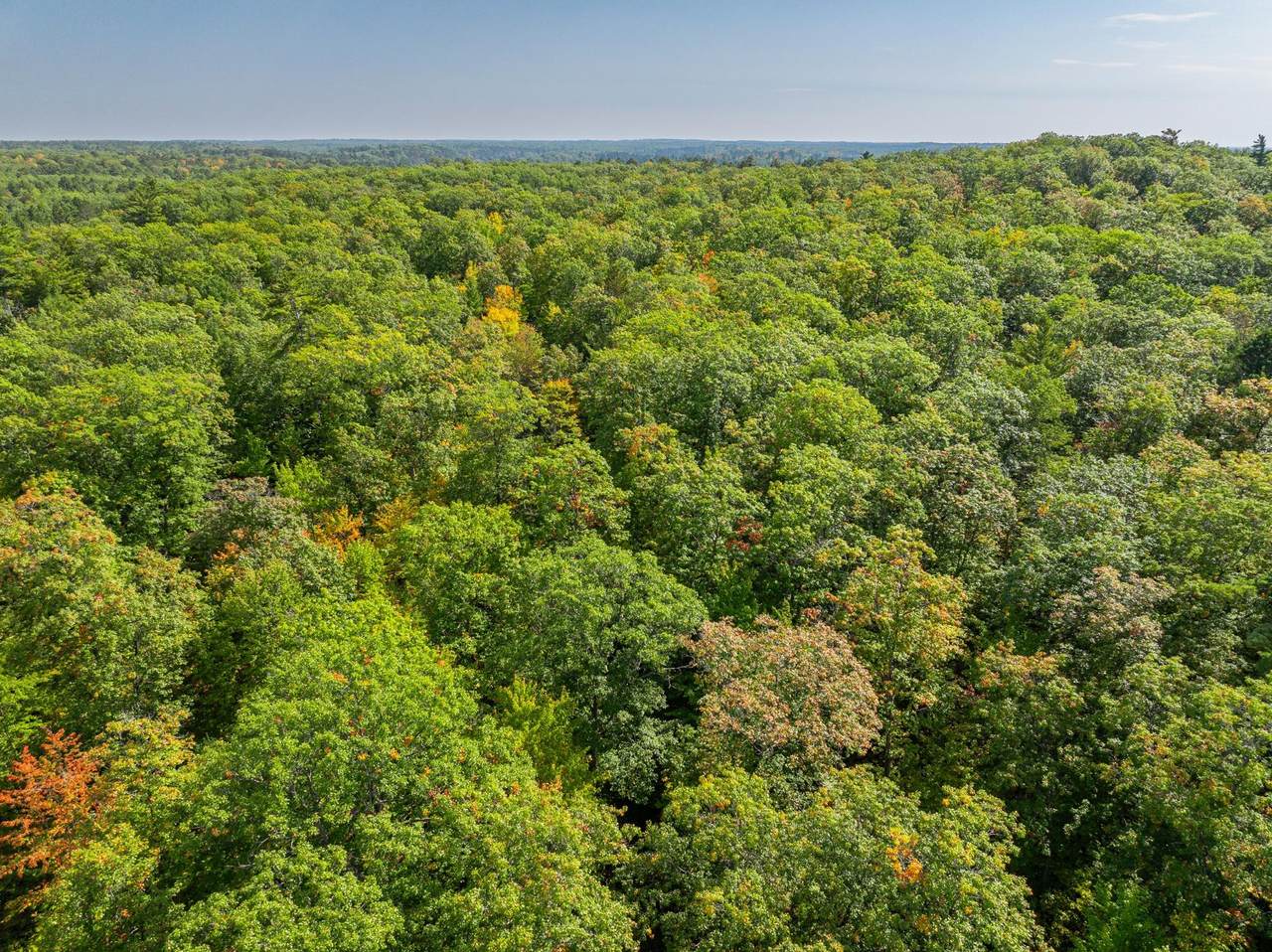 Lot 7 Lake Yawkey Dr - Photo 1