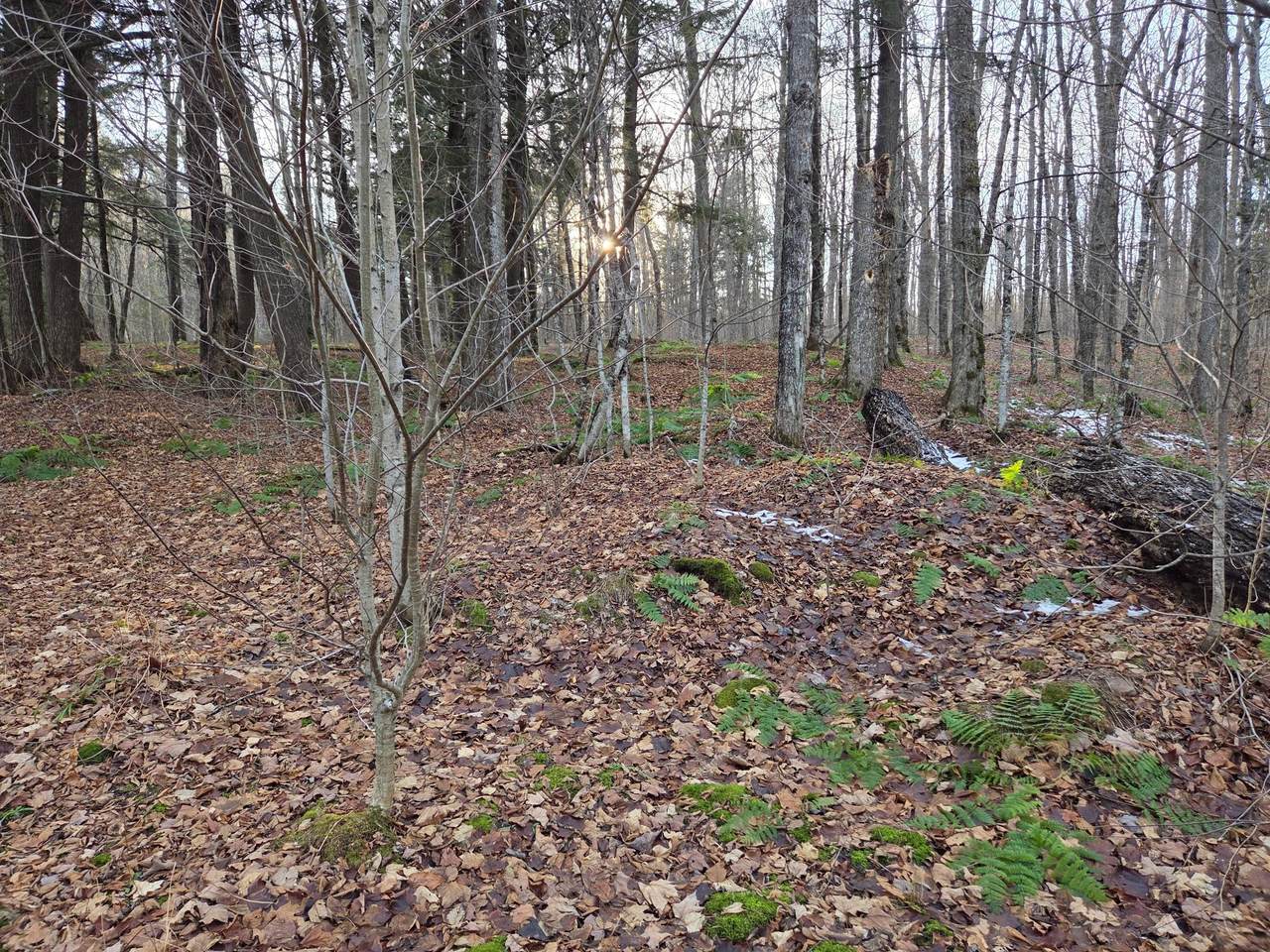 https://bt-photos.global.ssl.fastly.net/northwoods/1280_boomver_1_215069-2.jpg