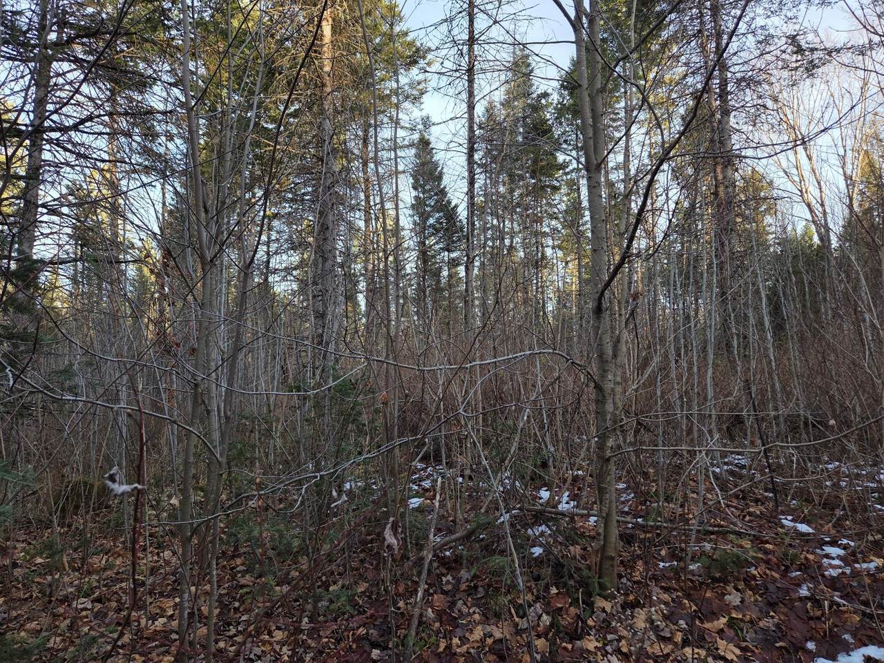 https://bt-photos.global.ssl.fastly.net/northwoods/1280_boomver_1_215069-2.jpg