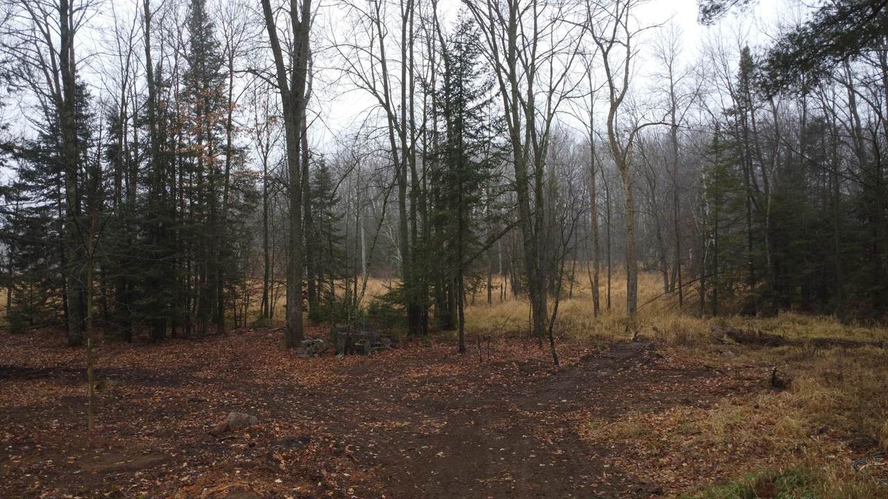 N10595 Hwy 45 - Photo 1