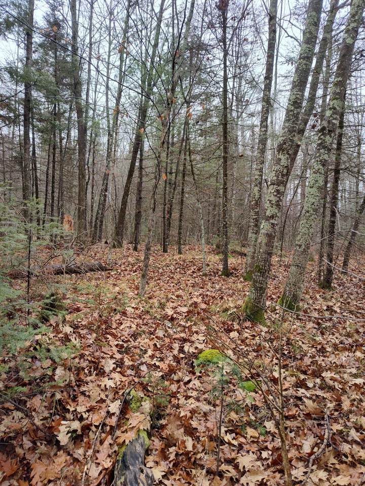 ON Lake Rd - Photo 1