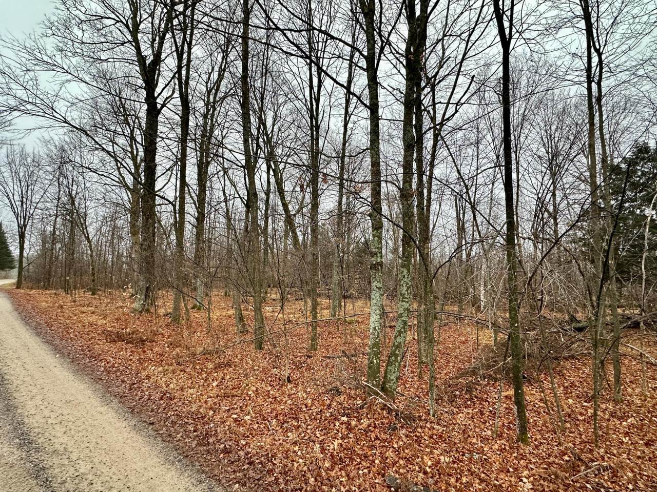 Lot 60 Chip N Dale Dr - Photo 1