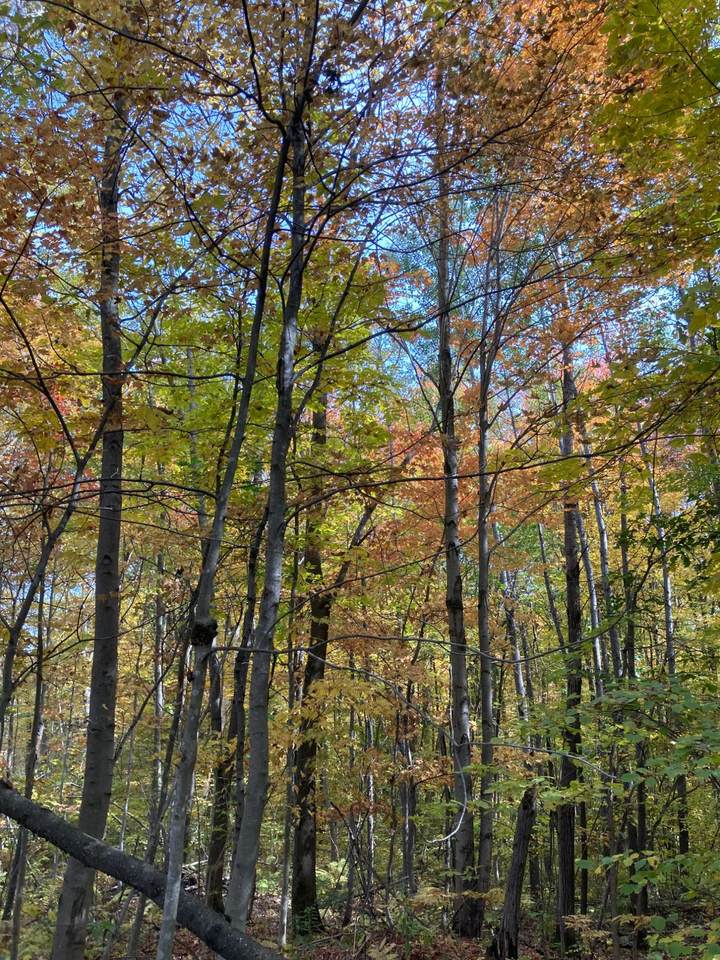 W8665 Other - Photo 1