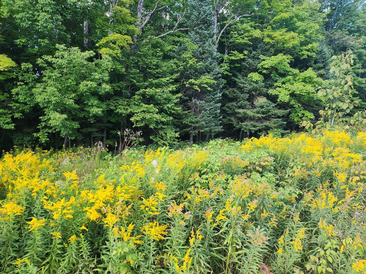 ON East Ln - Photo 1