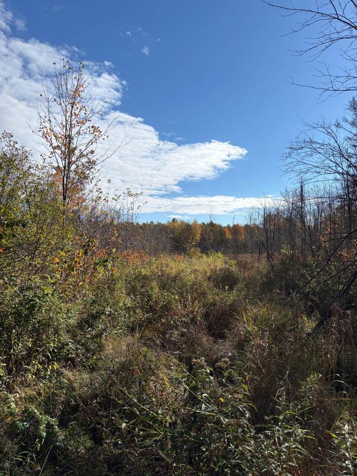 OFF Peterson Rd - Photo 1