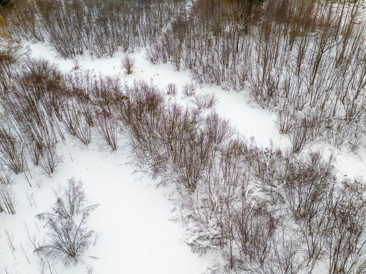 https://bt-photos.global.ssl.fastly.net/northwoods/1280_boomver_1_215316-2.jpg