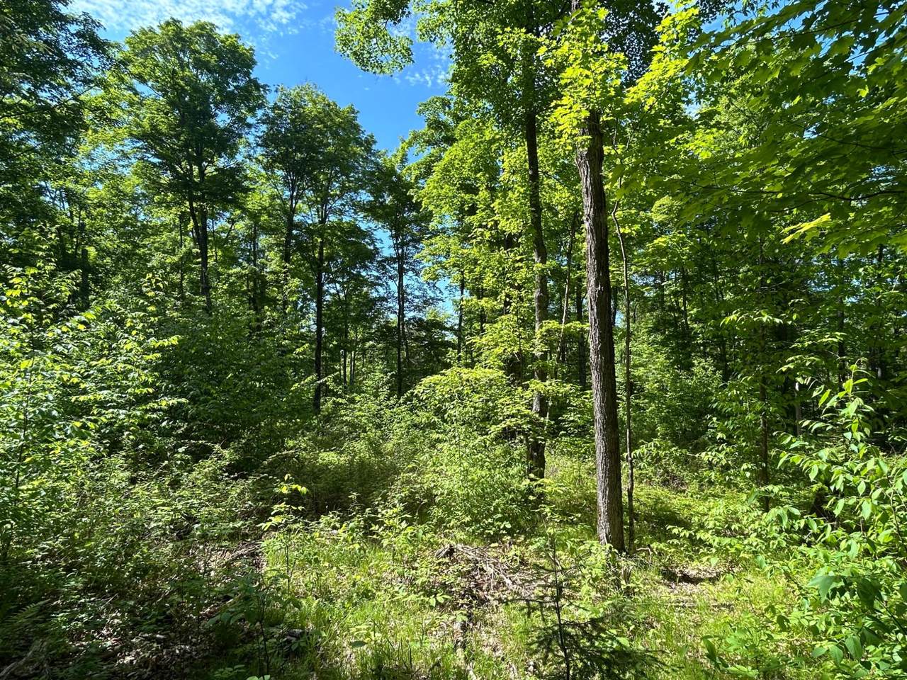 https://bt-photos.global.ssl.fastly.net/northwoods/1280_boomver_1_215320-2.jpg