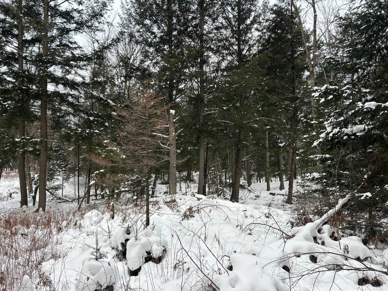 Lot 20 Cth G - Photo 1