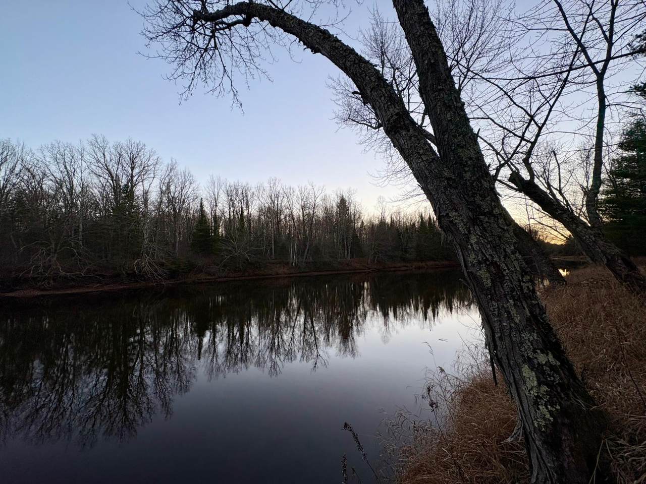 N488 Lukes Heights Rd - Photo 1