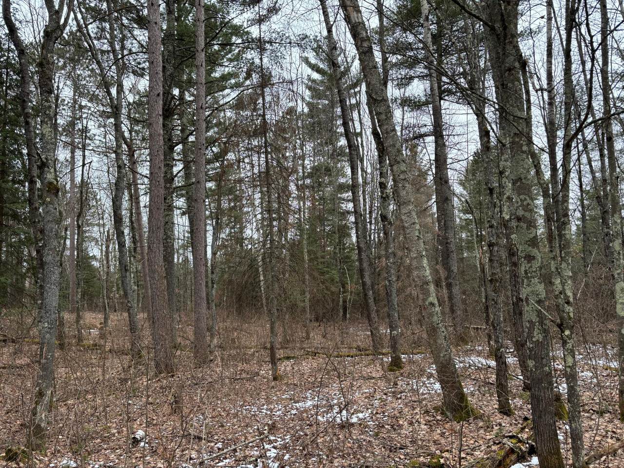 https://bt-photos.global.ssl.fastly.net/northwoods/1280_boomver_1_215421-2.jpg