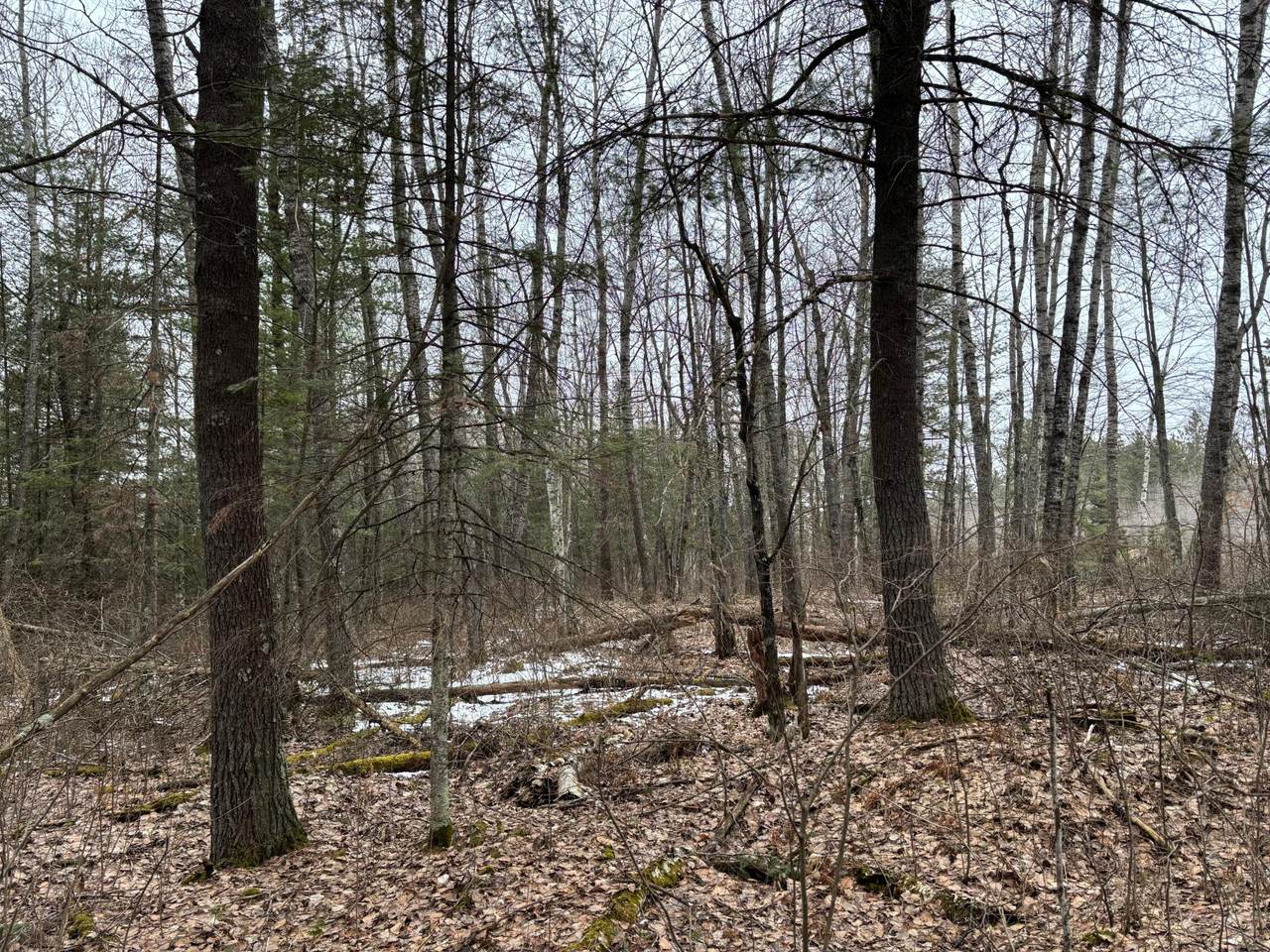 https://bt-photos.global.ssl.fastly.net/northwoods/1280_boomver_1_215421-2.jpg