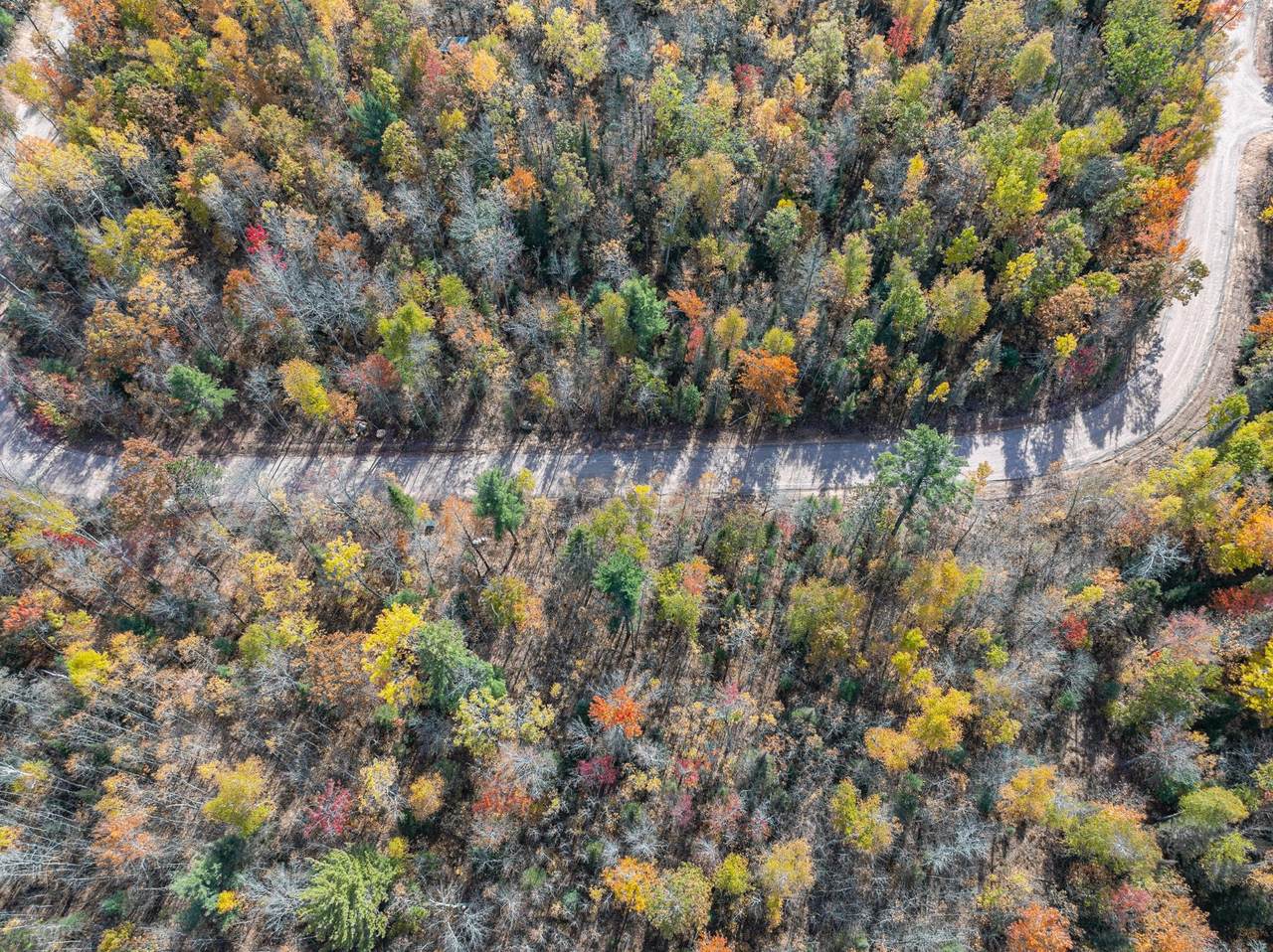 Lot 17 Butternut Cir - Photo 1