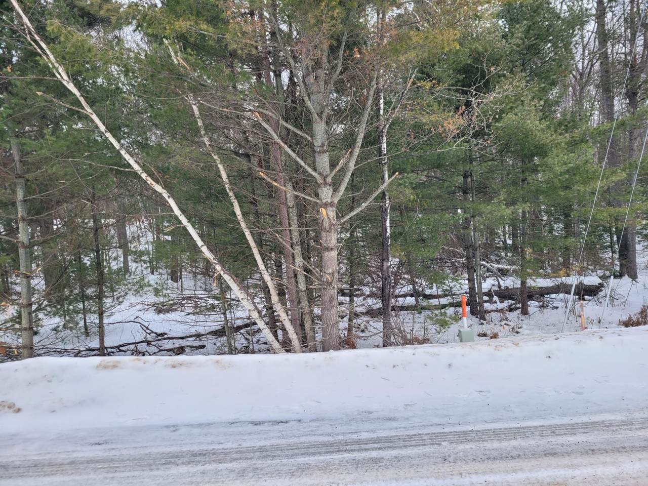 Lot 1 Bass Lake Rd N - Photo 1