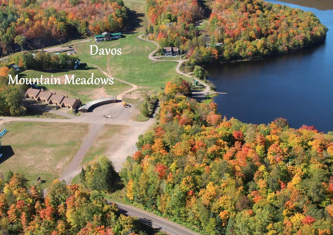 11925 Meadow Ln - Photo 1