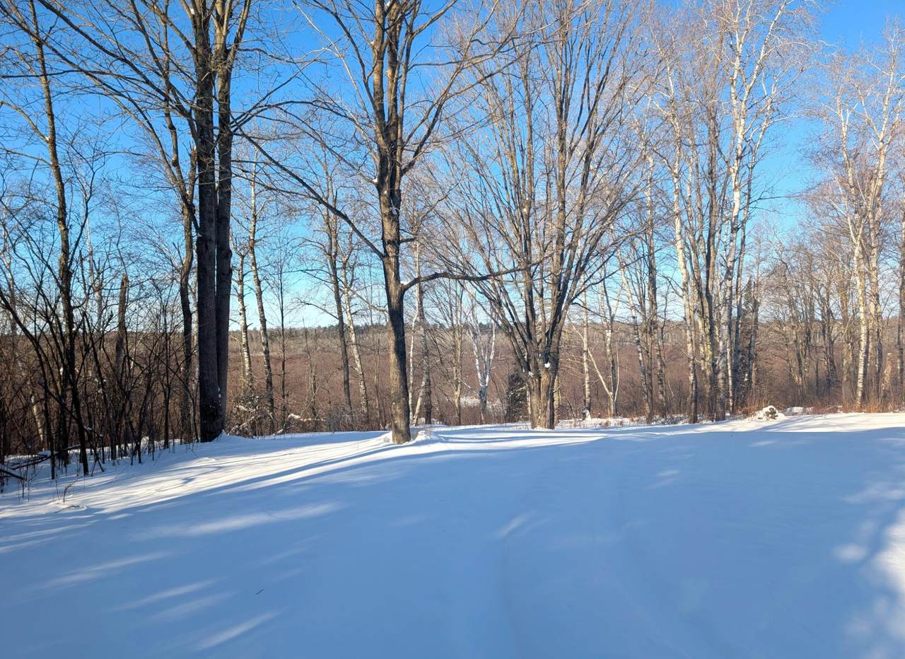 https://bt-photos.global.ssl.fastly.net/northwoods/1280_boomver_1_215567-2.jpg