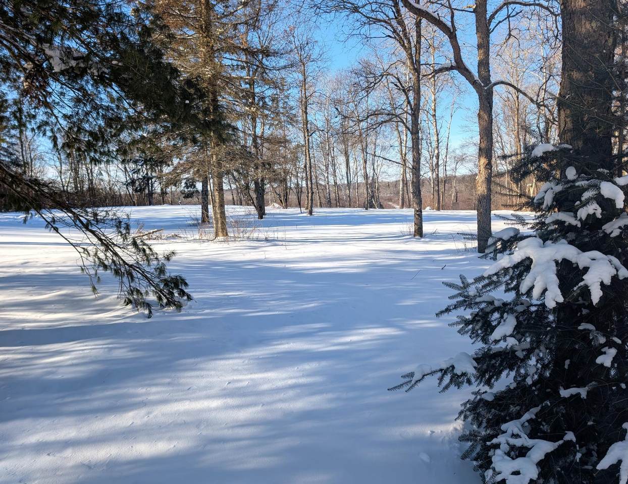 https://bt-photos.global.ssl.fastly.net/northwoods/1280_boomver_1_215567-2.jpg