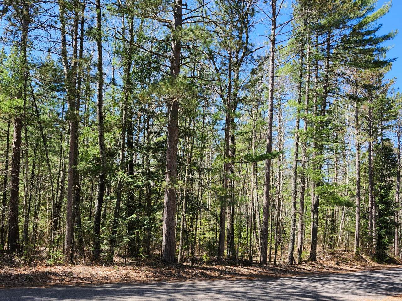 8 acres Bills Lake Rd - Photo 1