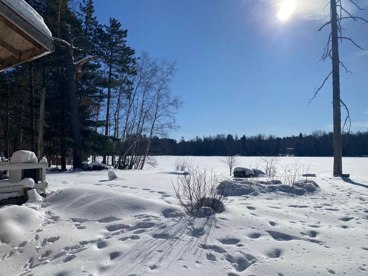 4745 Bradley Ln - Photo 1