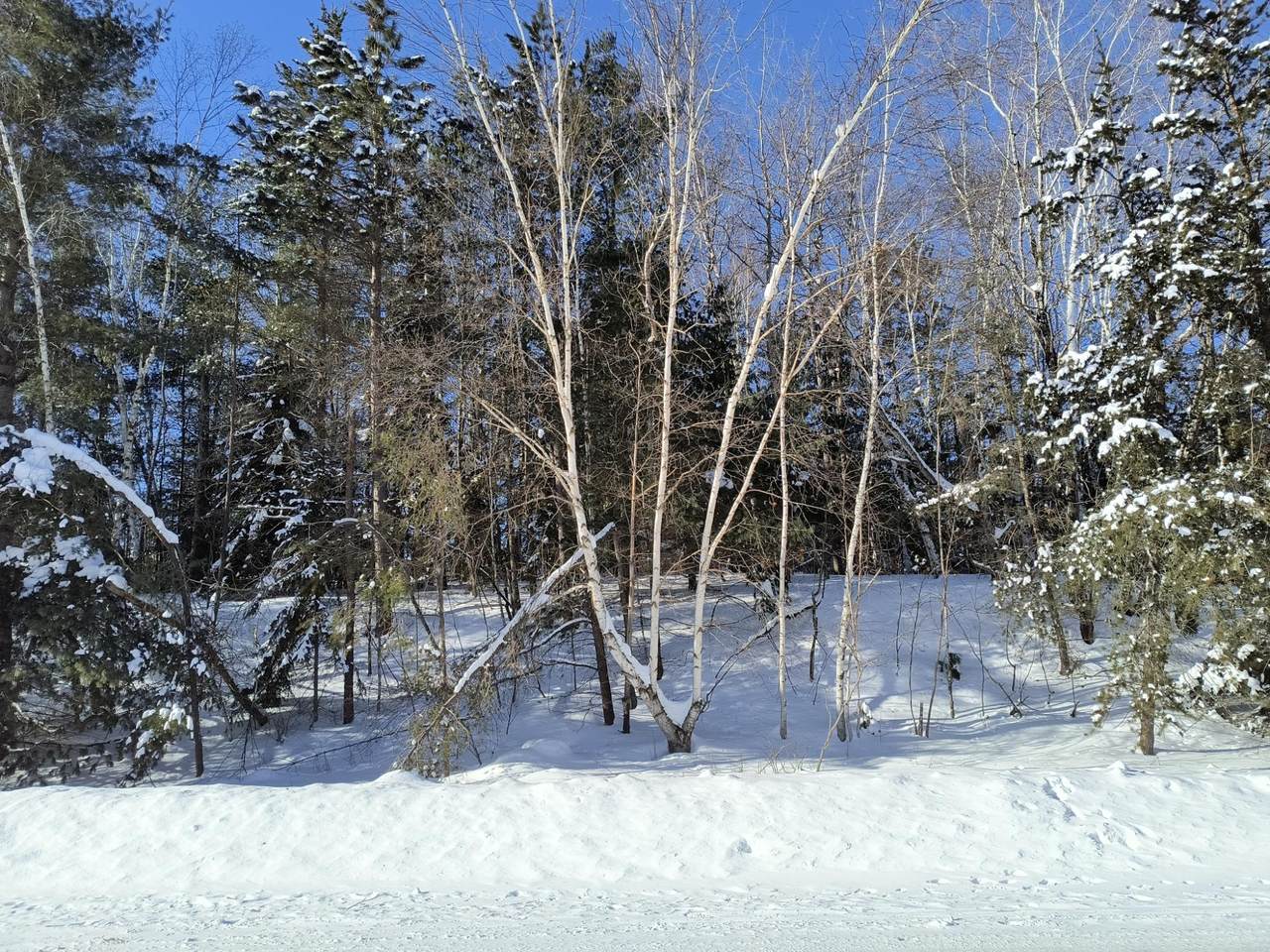 ON Westhill Rd - Photo 1