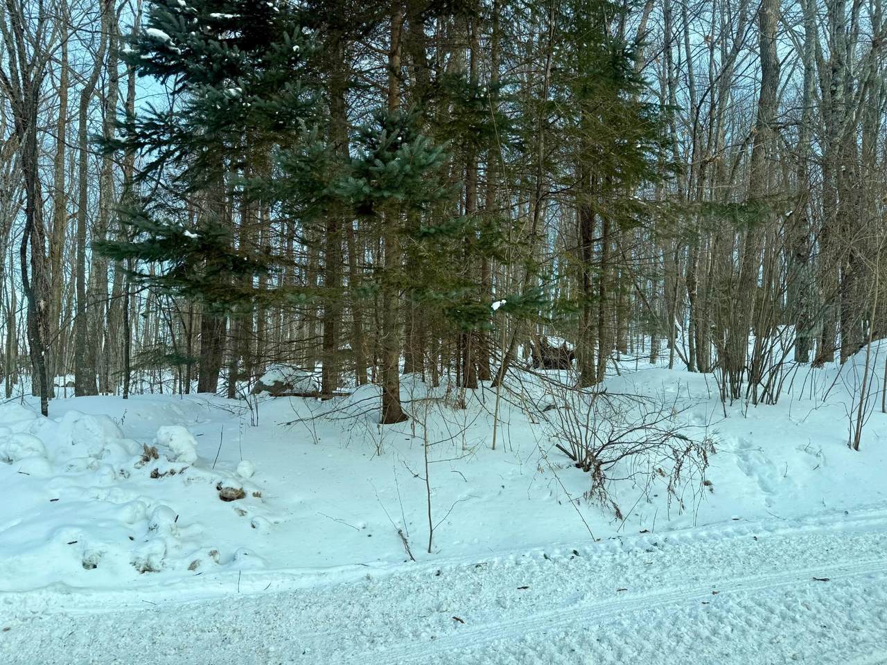 00 Jones Ave - Photo 1