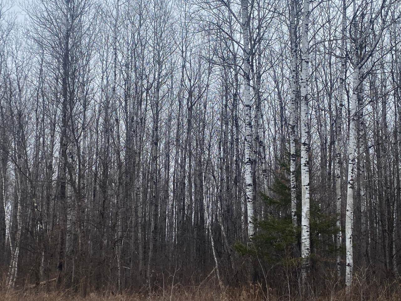 https://bt-photos.global.ssl.fastly.net/northwoods/1280_boomver_1_215681-2.jpg