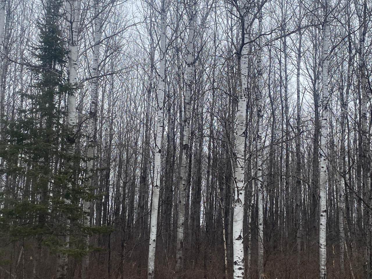 https://bt-photos.global.ssl.fastly.net/northwoods/1280_boomver_1_215681-2.jpg