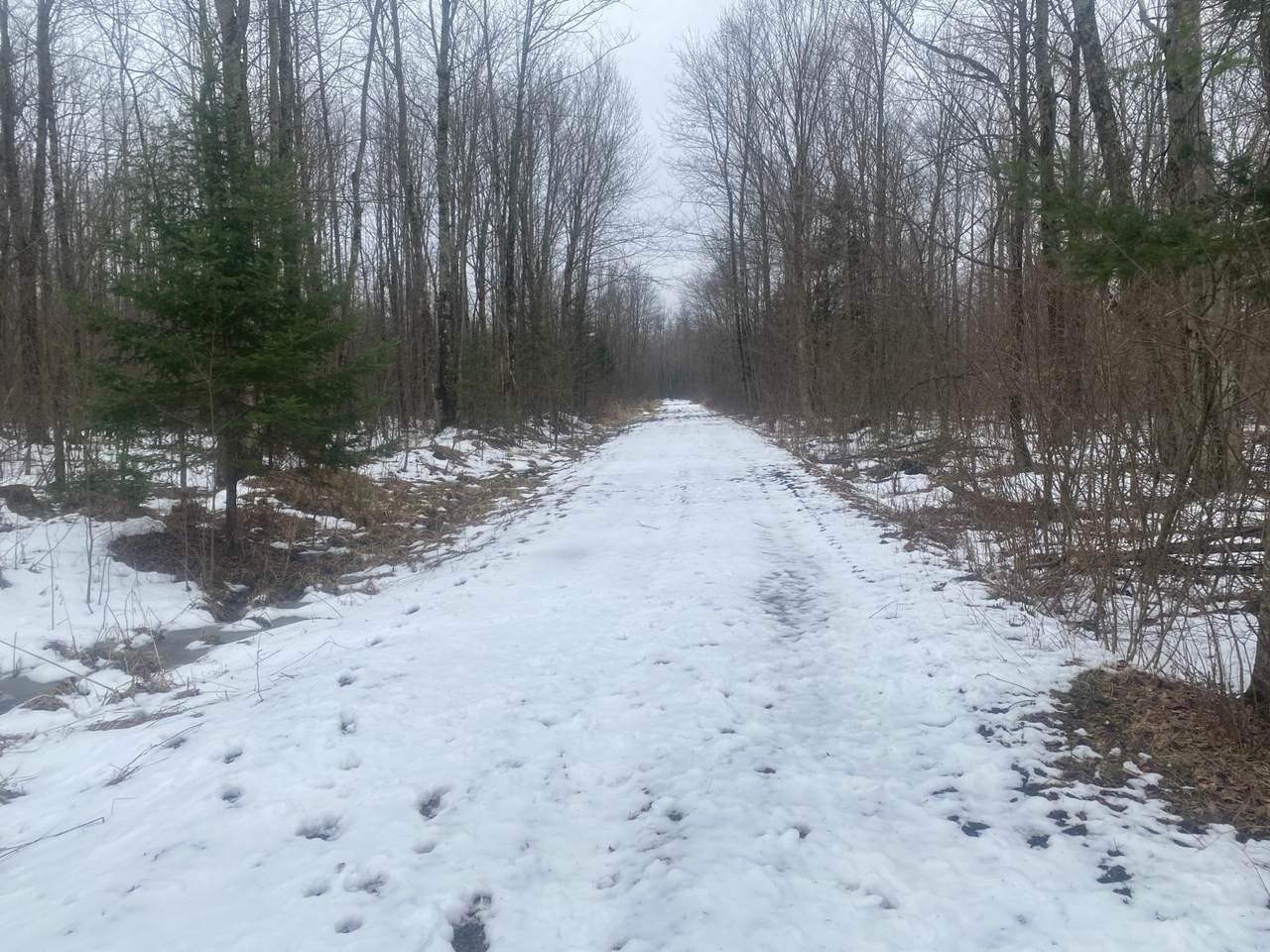 NEAR Spring Brook Ave - Photo 1