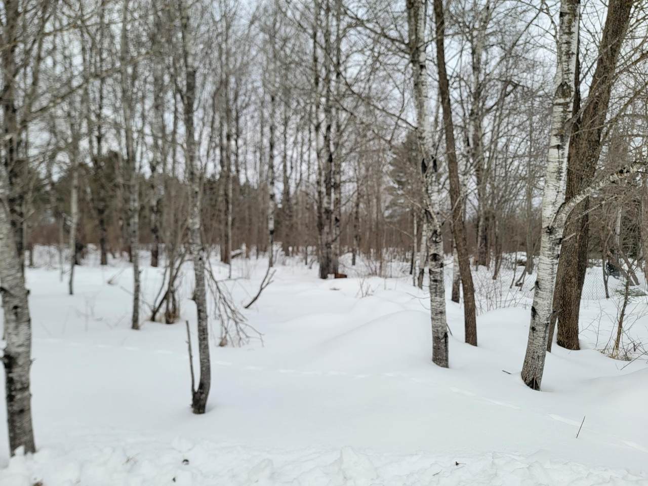 6828N Zett Rd - Photo 1