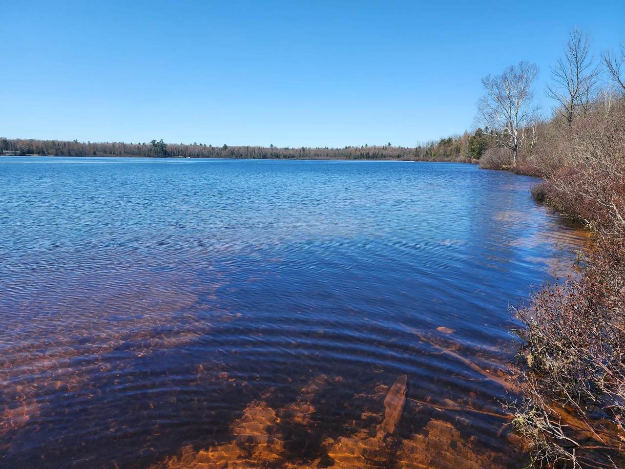 4 AC on Bass Lake Rd - Photo 1