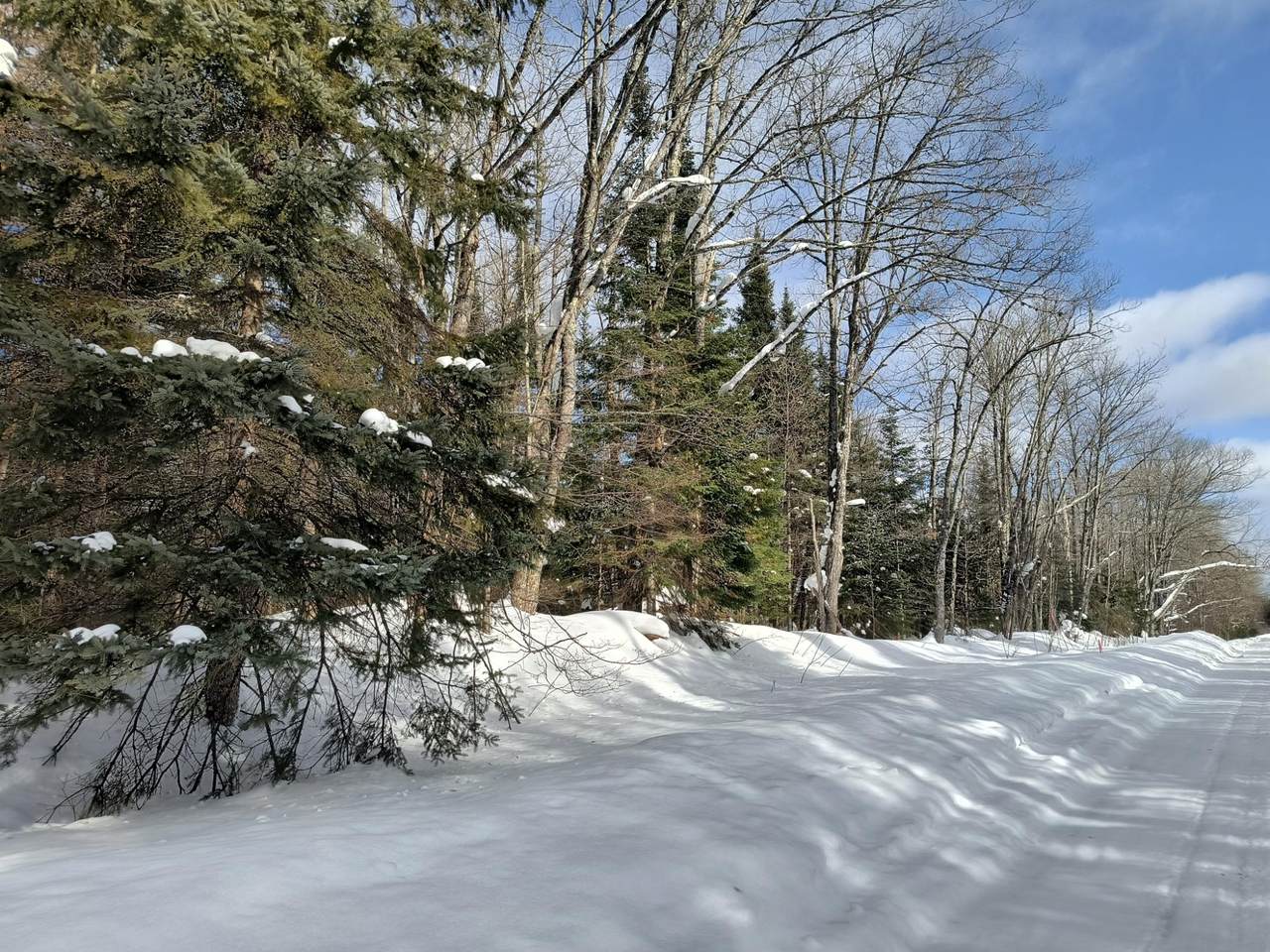 ON Old Us Hwy 2 - Photo 1