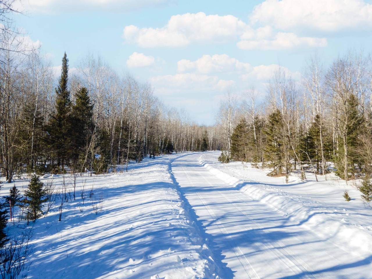 Lot 30 River Country Rd - Photo 1