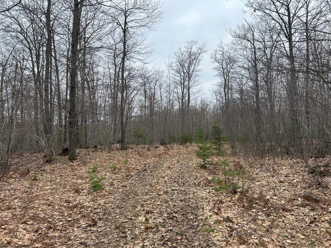 153 Acre Other - Photo 1