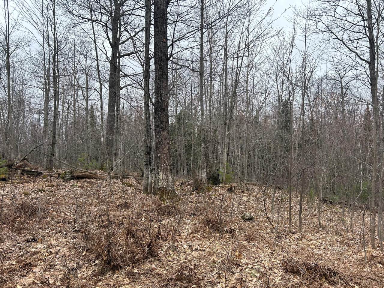 https://bt-photos.global.ssl.fastly.net/northwoods/1280_boomver_1_215831-2.jpg