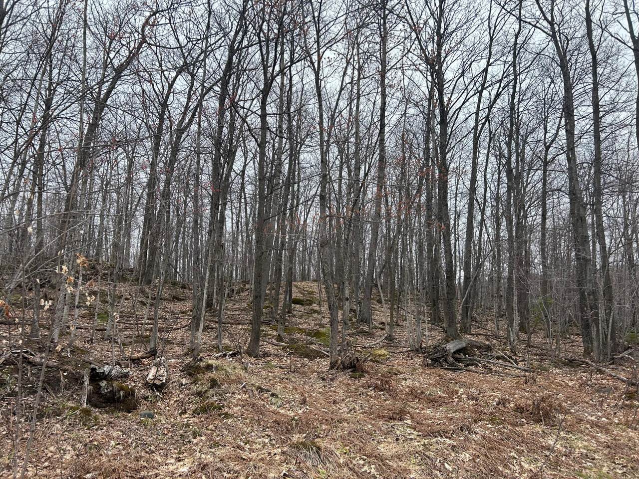 https://bt-photos.global.ssl.fastly.net/northwoods/1280_boomver_1_215831-2.jpg