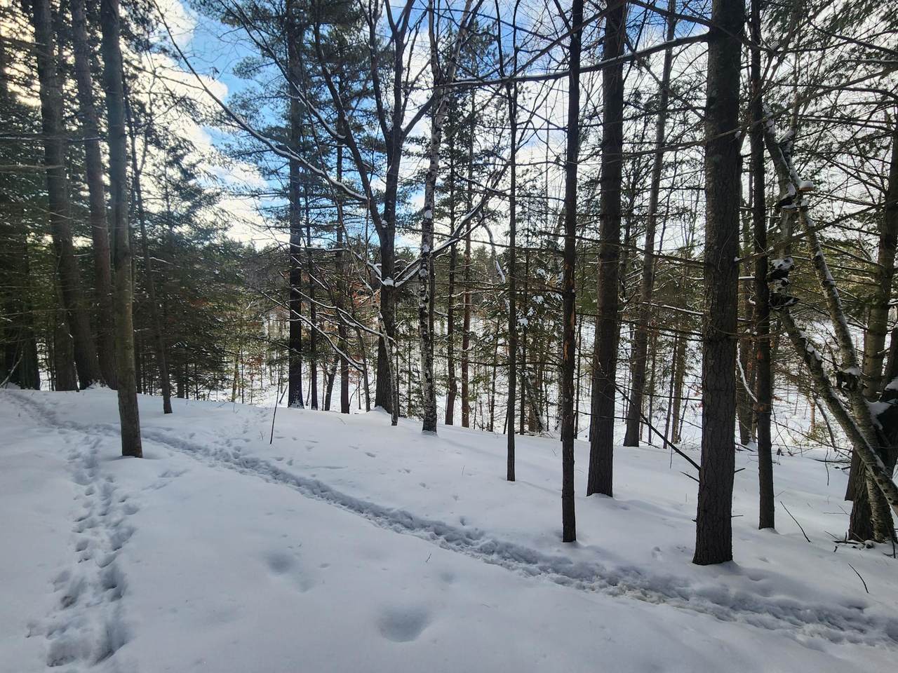 Lot 335 Ridgewood Dr - Photo 1