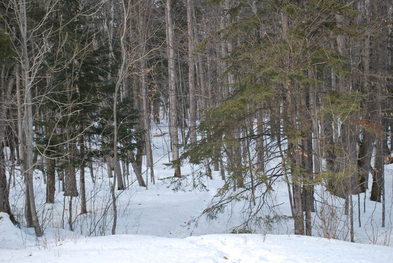 https://bt-photos.global.ssl.fastly.net/northwoods/1280_boomver_1_215900-2.jpg