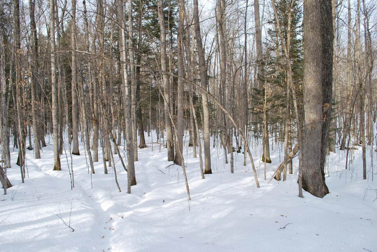 https://bt-photos.global.ssl.fastly.net/northwoods/1280_boomver_1_215900-2.jpg