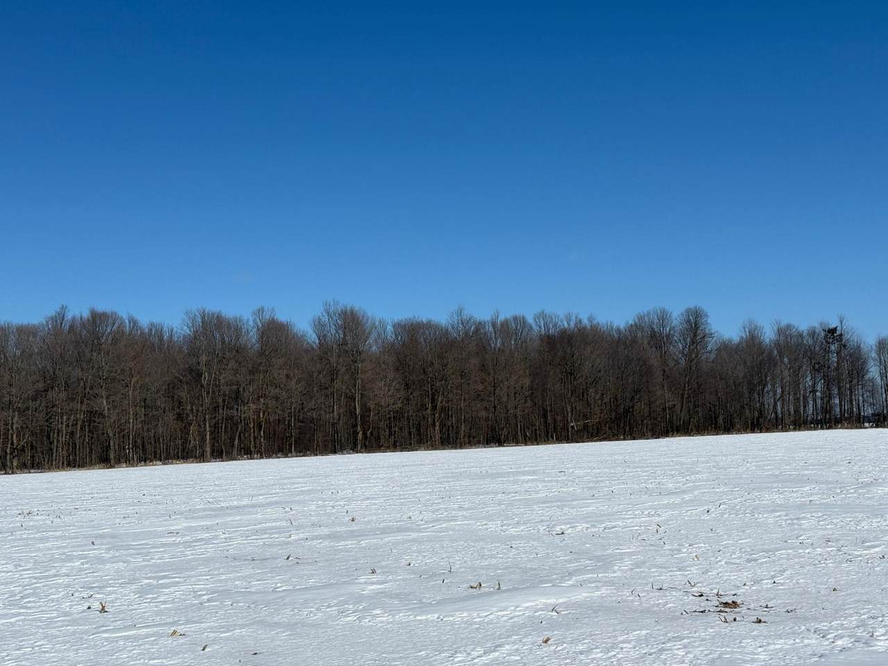 https://bt-photos.global.ssl.fastly.net/northwoods/1280_boomver_1_215912-2.jpg