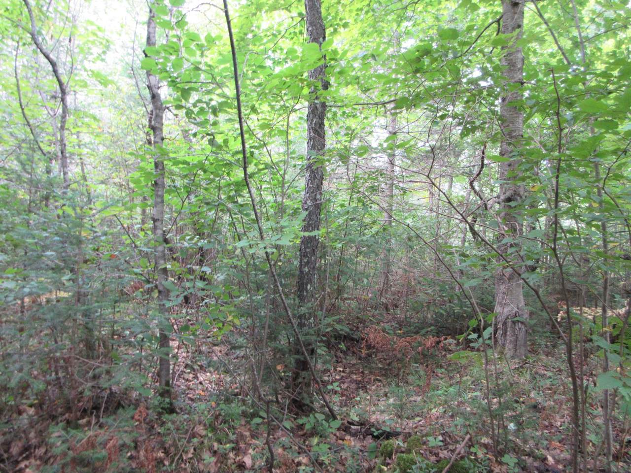 https://bt-photos.global.ssl.fastly.net/northwoods/1280_boomver_1_215915-2.jpg