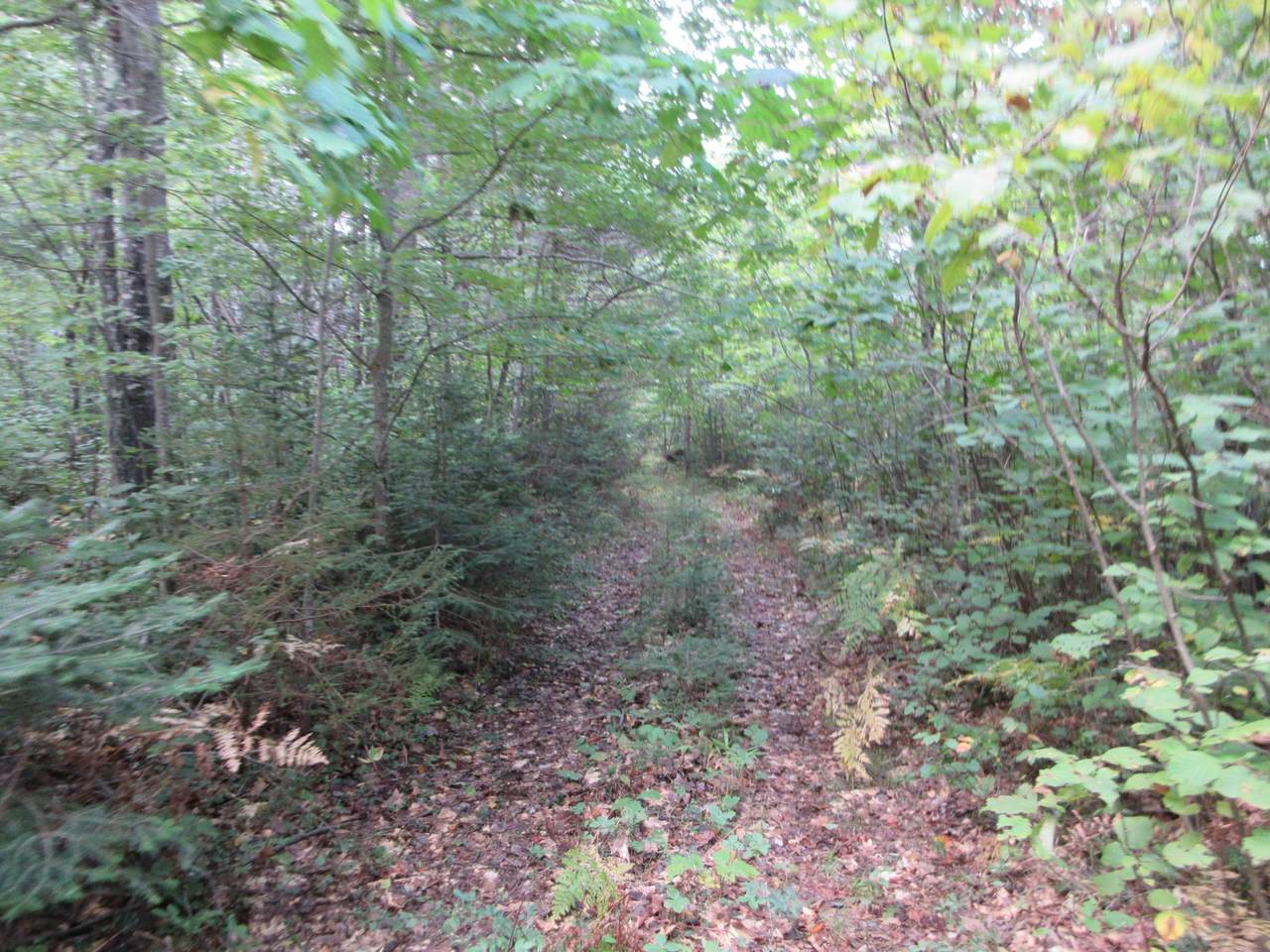 https://bt-photos.global.ssl.fastly.net/northwoods/1280_boomver_1_215915-2.jpg