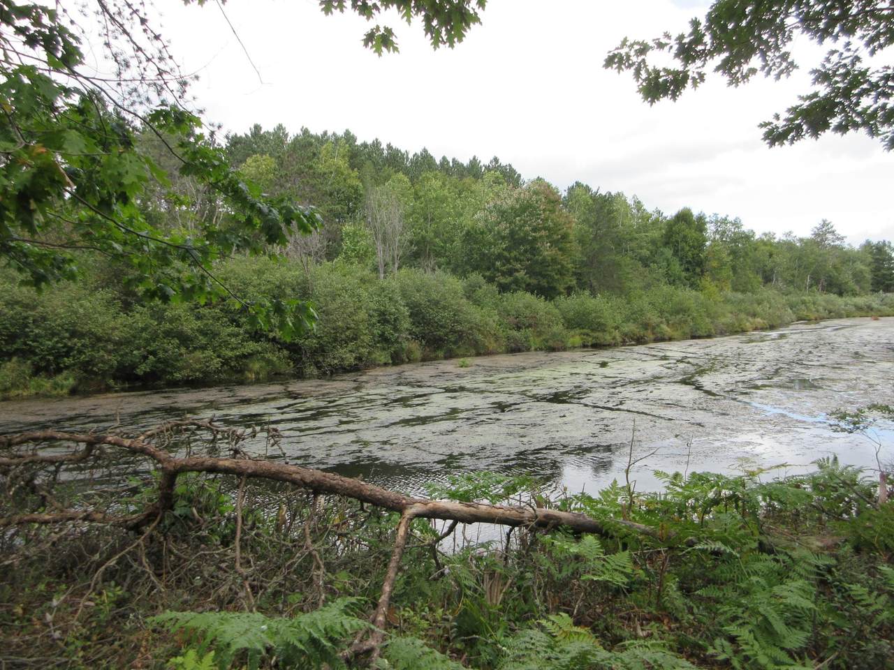 https://bt-photos.global.ssl.fastly.net/northwoods/1280_boomver_1_215915-2.jpg