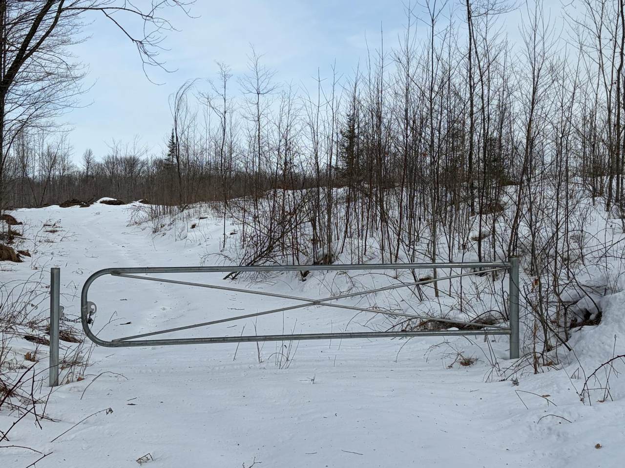 ON Forest Dr W - Photo 1