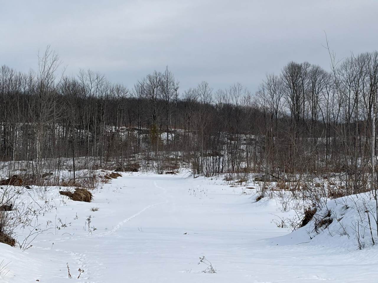https://bt-photos.global.ssl.fastly.net/northwoods/1280_boomver_1_215956-2.jpg