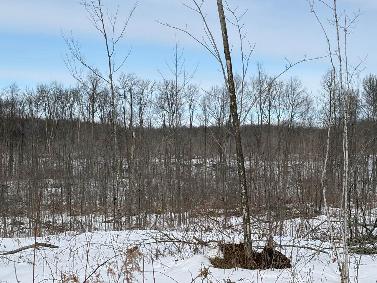 https://bt-photos.global.ssl.fastly.net/northwoods/1280_boomver_1_215956-2.jpg